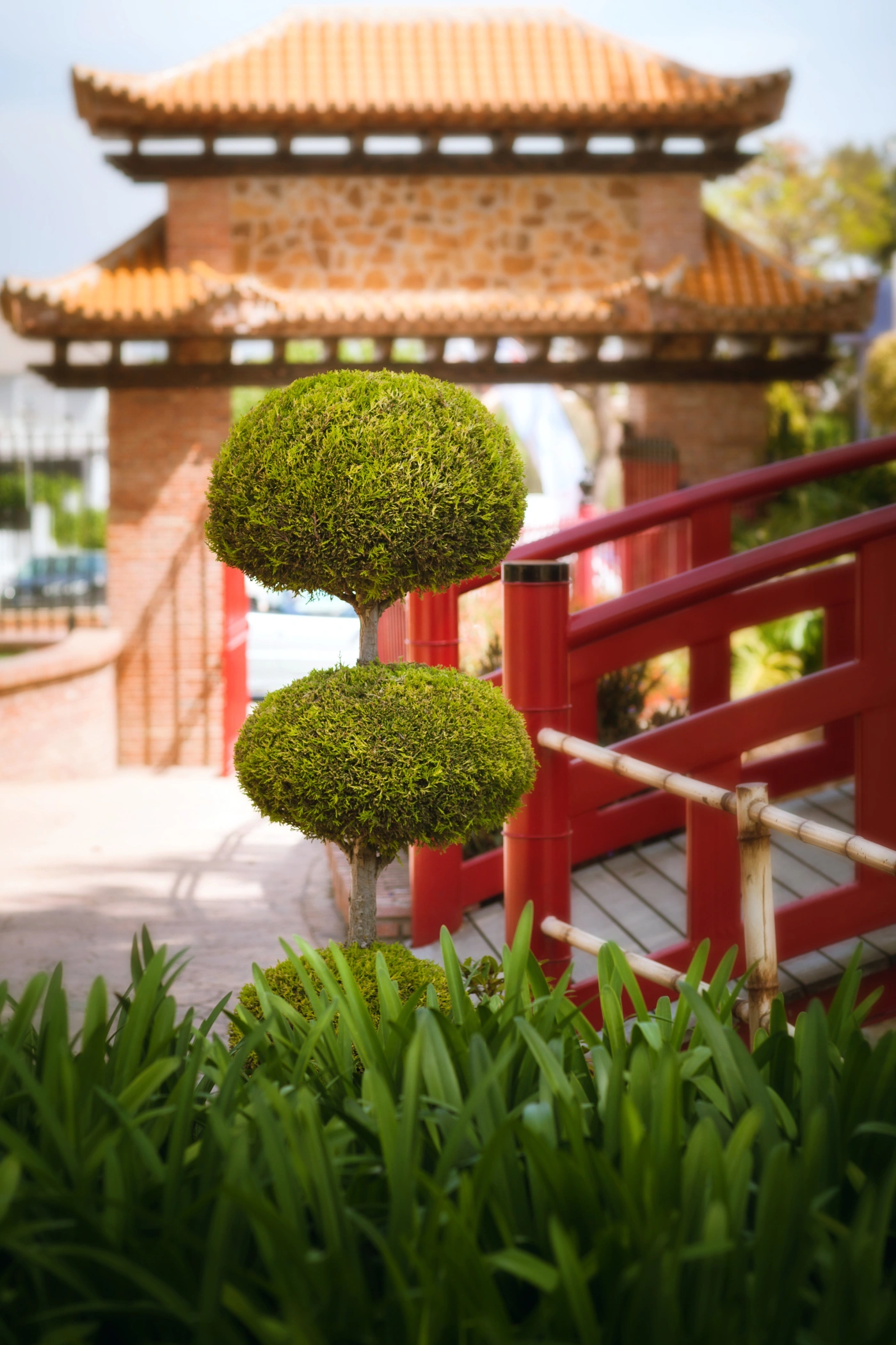Japanise Garden