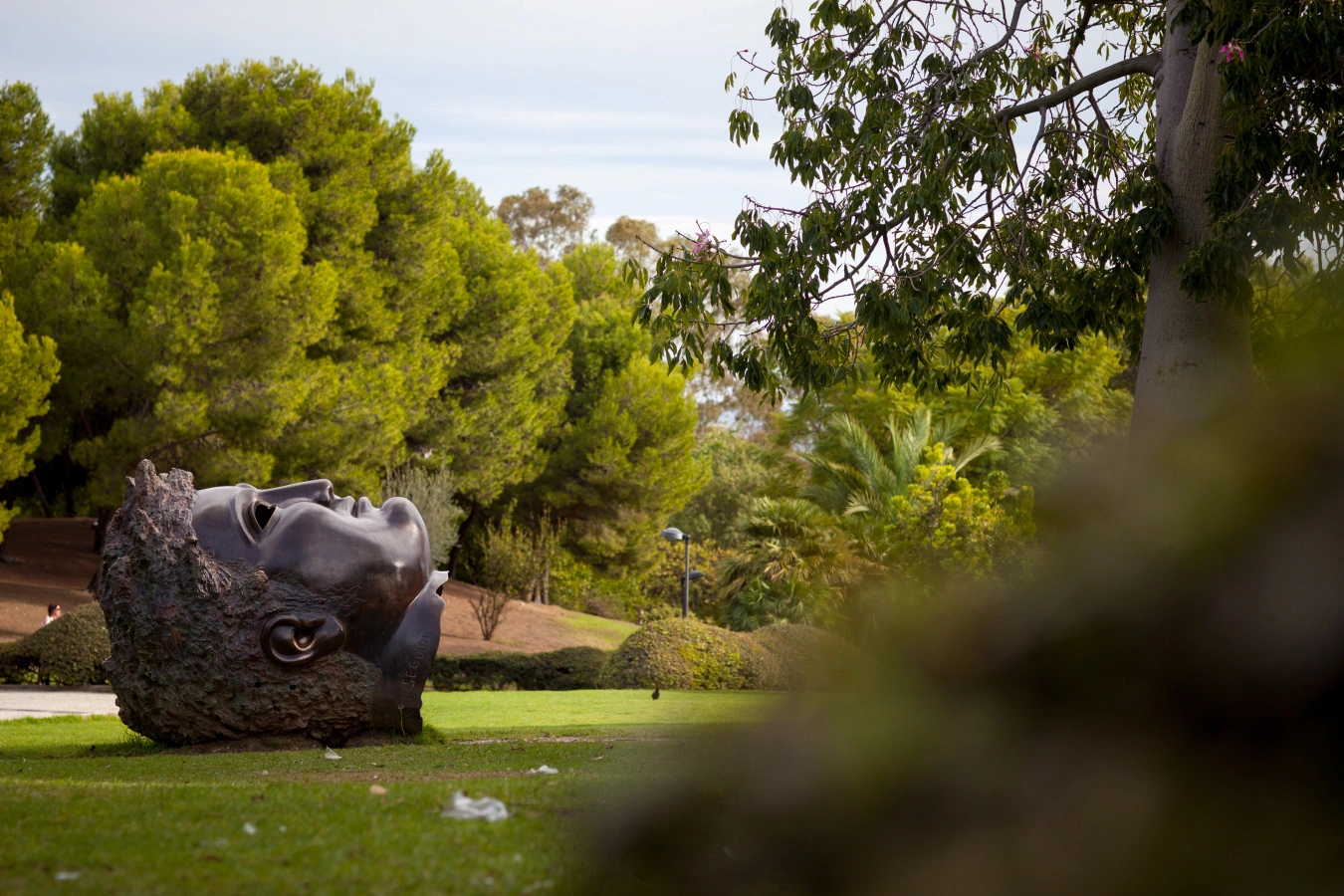 Paloma Park